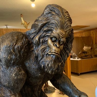 BigHarryGorilla's profile picture. 