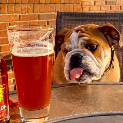 Indybeersleuth Profile Picture