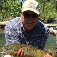 Mark DeBord (@loungingl) 's Twitter Profile