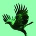 طيور السعودية (@alsuhaibany) Twitter profile photo طيور السعودية (@alsuhaibany) Twitter profile photo
