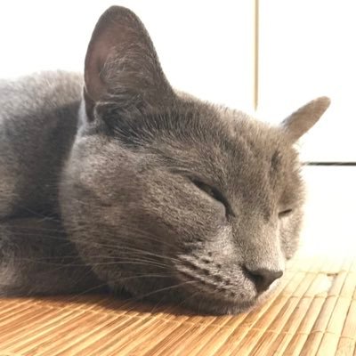 ヒビル未来派No.24さんのプロフィール画像
