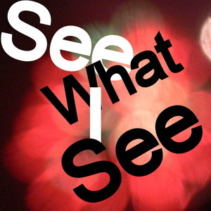 Blog See What I See. - O livro das mil risadas falsas, completando 1 ano de vida! - por @mtakemonkey