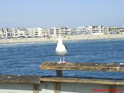 ClemenPaulino's profile picture. 