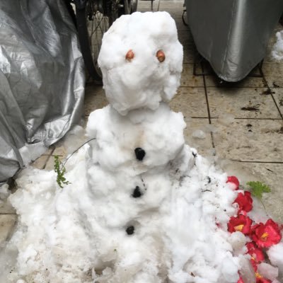 sam210386502's profile picture. 30代の父親です。父歴約10年です。共働きをしつつ、4人の子育てに奮闘中。子育ての日々の楽しみや悩みをつぶやきます。