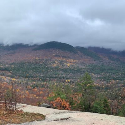 parlayplayer21's profile picture. 