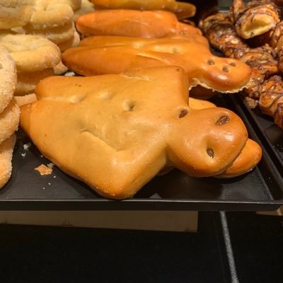 ganzanderes's profile picture. 