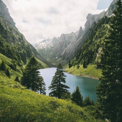 saenz_eguizabal's profile picture. 