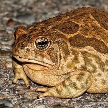 dykecommie666's profile picture. 25, he/they, cork

play gnosia play zero escape play infinity series