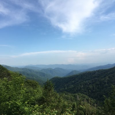 Wooly789's profile picture. 