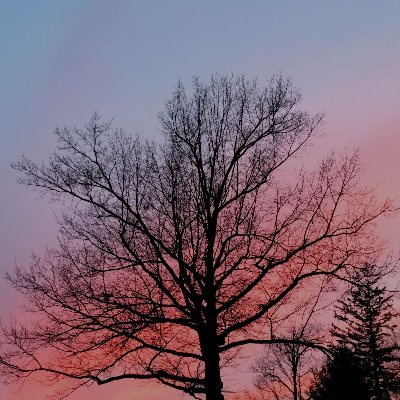 RichCummings10's profile picture. 