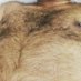 desi uncut bear (@ravi48730037) Twitter profile photo desi uncut bear (@ravi48730037) Twitter profile photo