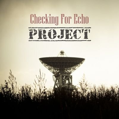 Checking For Echo is a progressive rock music collaboration where amazing musicians come together to make great music for charity #noDM please