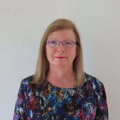 Chair, Northumbria Uni, Chair Northern CUC, Senior Research/Policy Fellow Palace Yard, Chair, FWN Mentoring scheme. Former MP/Shadow Minister, academic, vmo