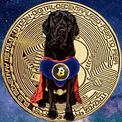 CleverCryptoDog Profile Picture