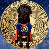 Clever Crypto Dogs #❤️❤️❤️ (@clevercryptodog) 's Twitter Profile