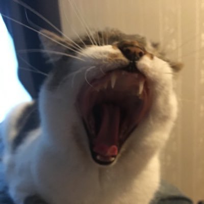 loganhatch0001's profile picture. 