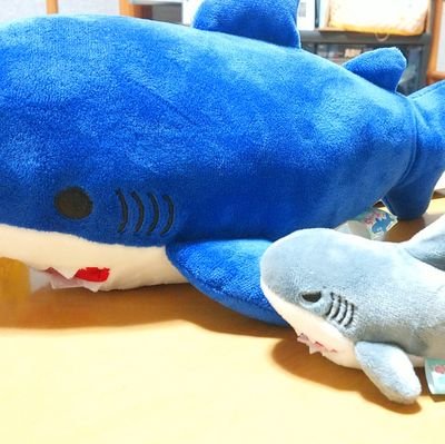 紫亜(しあ) ラノベ感想垢 旧垢さんのプロフィール画像