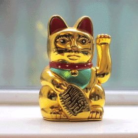 pyopregunton's profile picture. Hay cuestiones que nadie responde