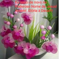 Aulina Lima (@aulinalima) 's Twitter Profile Photo