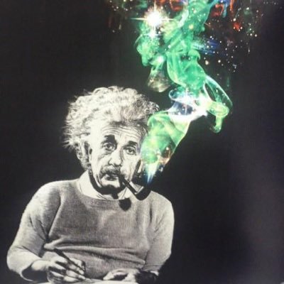 GreenZenForest's profile picture. A human bean.