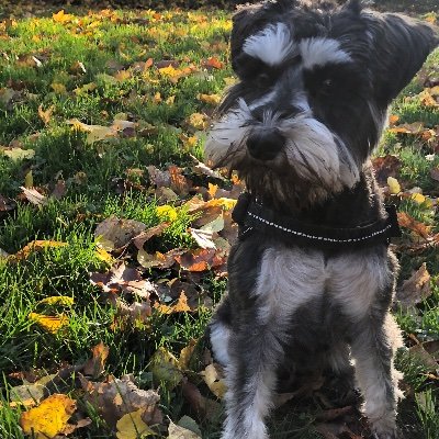 Lawesh's profile picture. 