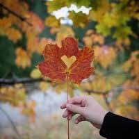 AbuamerAbdullah's profile picture. 