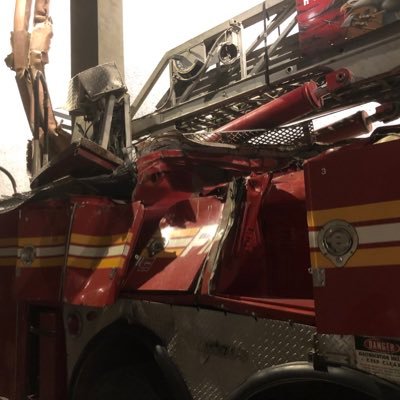 rockybud4's profile picture. 