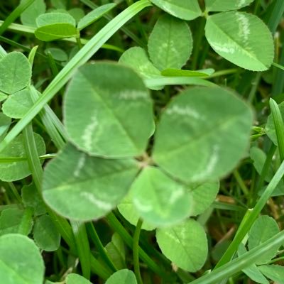 Zele54259965's profile picture. Devrimi satın alamazsınız. Devrimi yapamazsınız. Devrim olabilirsiniz ancak. Devrim ya ruhunuzdadır ya da hiçbir yerde değildir. Ursula L. Guin