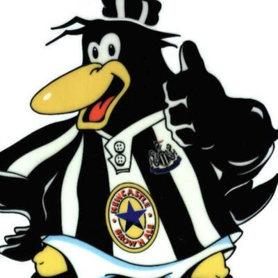 FootballindexM4's profile picture. Football Index trader, 15k port.
Newcastle United supporter 😬