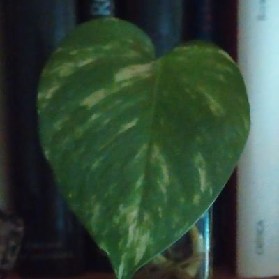 Erun83585731's profile picture. 