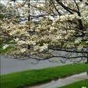 david karns - @tvman56 - Twitter