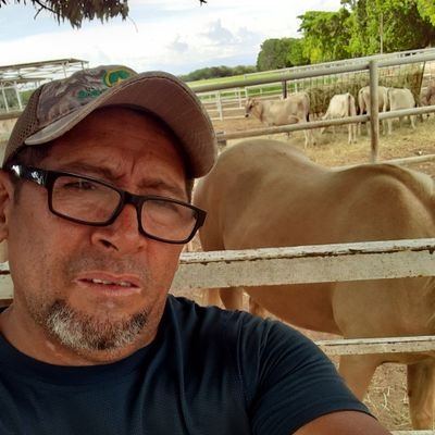 chuellocarora's profile picture. Venta de huevos al mayor