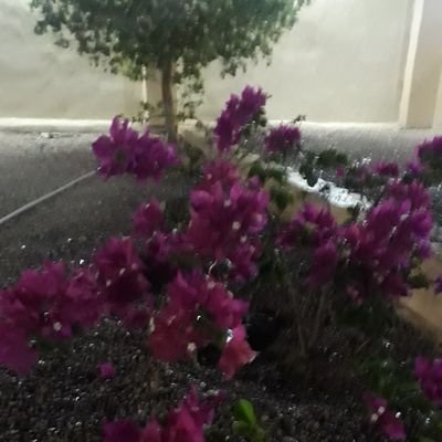 farjalhrby's profile picture. 