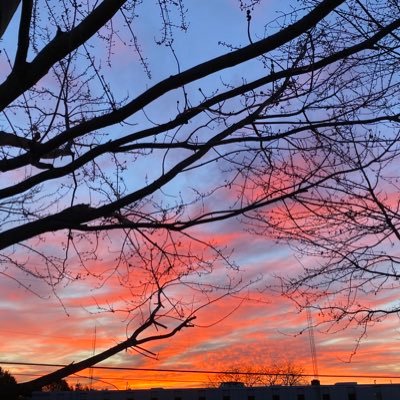 paigepife's profile picture. 