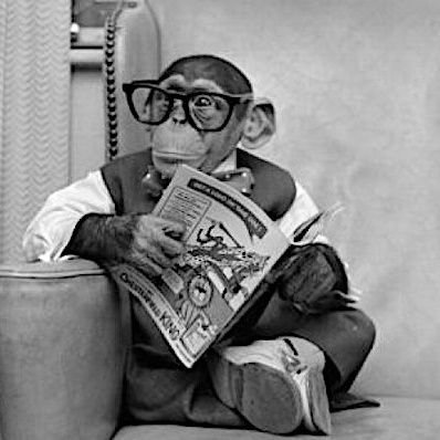 gianlucazanelli's profile picture. .