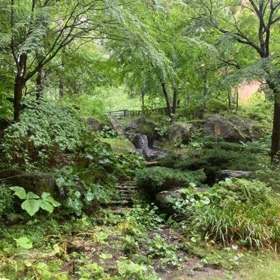 1TRJRFTj5VT3H6O's profile picture. 