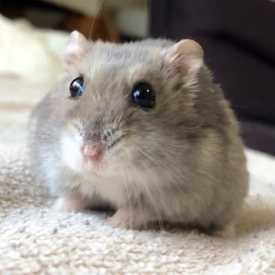 けいやさんのプロフィール画像
