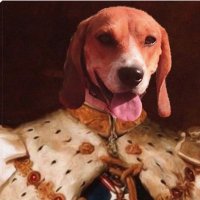 Gremlin(@FarmBeagle) 's Twitter Profile Photo