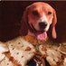 Gremlin (@farmbeagle) Twitter profile photo Gremlin (@farmbeagle) Twitter profile photo