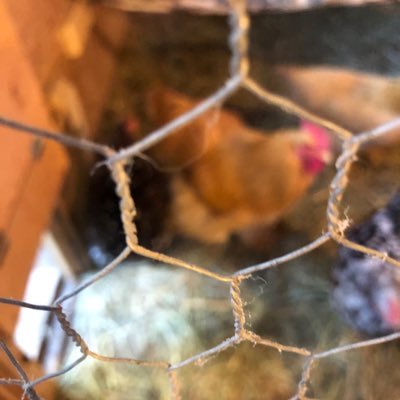 fetch62291897's profile picture. 