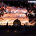 🇵🇸فلسطين قلب العرب وقلب المسلمين🇵🇸 (@jtd3ajtydux0dyp) Twitter profile photo 🇵🇸فلسطين قلب العرب وقلب المسلمين🇵🇸 (@jtd3ajtydux0dyp) Twitter profile photo