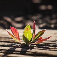 Oun Alshahrani (@oun20112011) 's Twitter Profile Photo