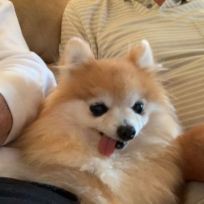 donna_hibdon's profile picture. 