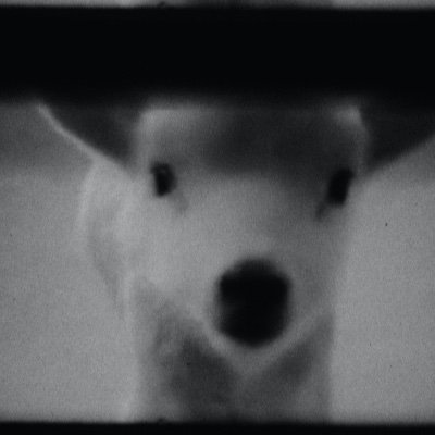 ancientgainz's profile picture. 🥐