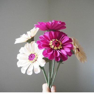 gingerbrownsgr's profile picture. Please be kind.