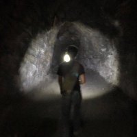 Hydra (@hydra_chng) 's Twitter Profile