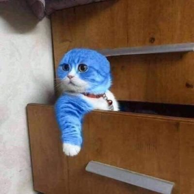 รุ่งอรุณ ก่อนฟ้าสางさんのプロフィール画像