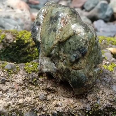 koncowatu's profile picture. menyukai petualangan