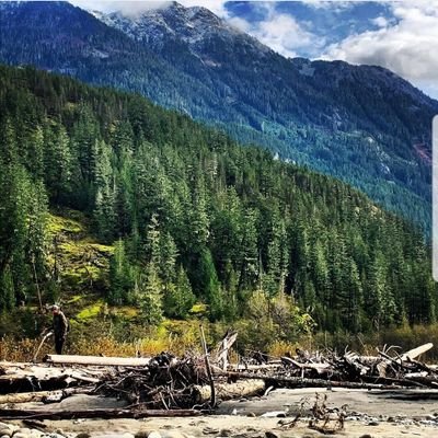 RoryMcA_'s profile picture. Fishing, GAA and the outdoors! 
Currin-Monaghan 🏐