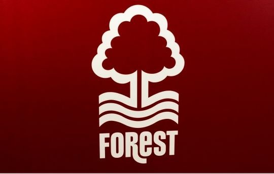 #NFFC, Cricket fan and liker of Cider and Gin